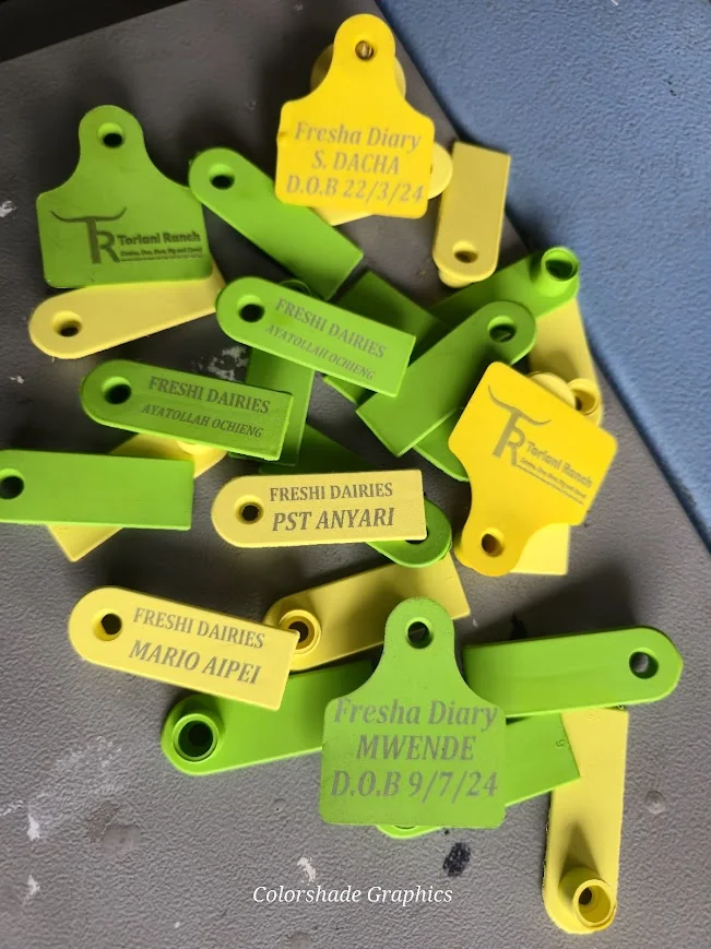 Numbered laser-engraved livestock ear tags